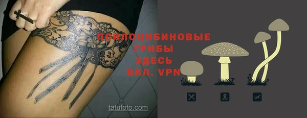 тгк Верея