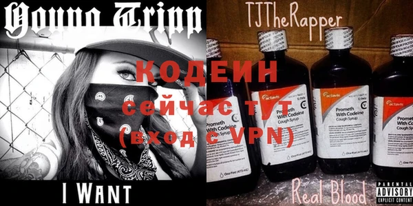 тгк Верея