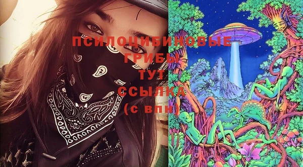 тгк Верея