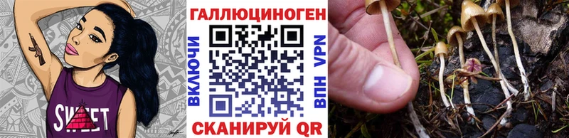 Псилоцибиновые грибы прущие грибы  omg онион  Новопавловск 